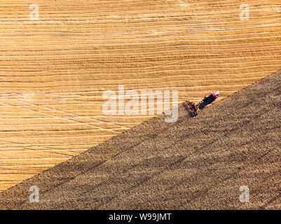 Vista aerea del drone del campo di raccolto con il trattore mows erba secca. Autunno campo giallo con un pagliaio dopo il raccolto vista dall'alto. La raccolta nei campi Foto Stock