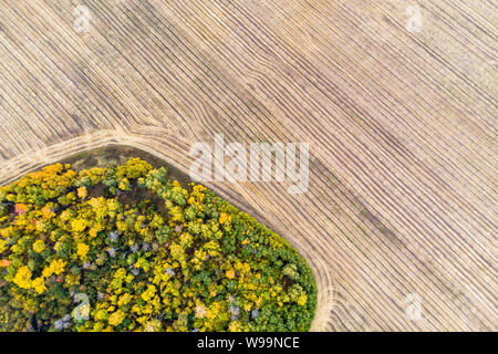 Una vista da sopra della foresta autunnale delle foreste e un campo di fattoria nella foresta. La mietitura su un campo di grano. La scorta di fieno per l'inverno. La Russia Altai Foto Stock