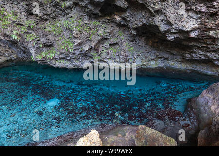 Acque azzurre di Los Tres Ojos. Open-air di grotte di calcare situato nel Mirador del Este park, in Santo Domingo, Repubblica Dominicana Foto Stock