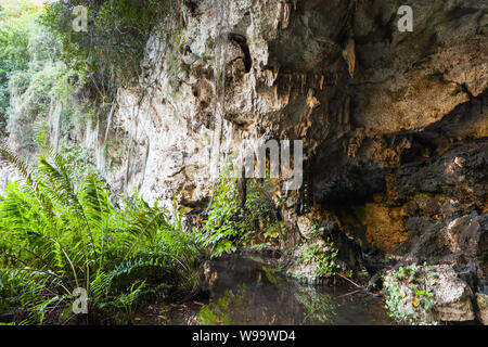 Los Tres Ojos open-air di grotte di calcare situato nel Mirador del Este park, in Santo Domingo, Repubblica Dominicana Foto Stock