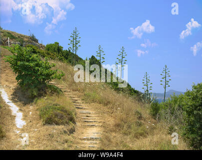 Passaggi e sentiero escursionistico via sul Monte Smith. L'acropoli di Rodi Grecia Europa. Giorno d'estate e di sole Foto Stock