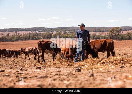 Siccità australiana. La figura mostra il contadino Greg Jerry sul suo colpiti dalla siccità in proprietà Coonabarabran Namoi Street, Nuovo Galles del Sud Foto Stock