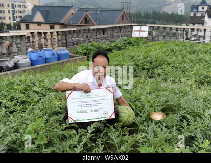 L'agricoltore cinese Peng Qiugen mostra il diploma per il tetto del mondo riso persone migliori Award nel campo di cocomero sul tetto dei suoi 3 piani in casa Foto Stock