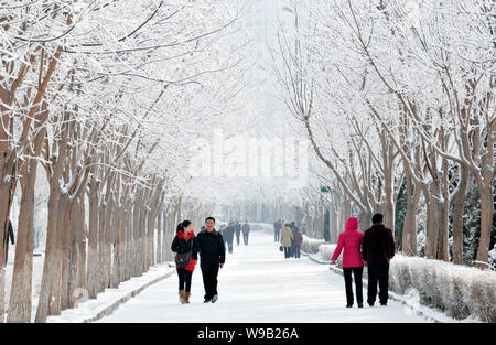 I residenti locali godono le rime scenario in città Korla, Northwest Chinas Xinjiang Uygur Regione autonoma, Dicembre 28, 2010. Un bellissimo scenario rime Foto Stock