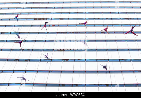 SYDNEY, Australia - agosto 20,2017: verticale dance company Bandaloop Ballando verso il basso dalla parte superiore di un 290ft alto grattacielo a Martin Place. Foto Stock