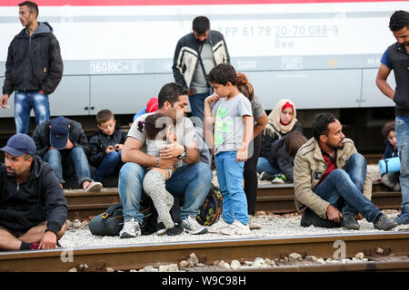 Dugo Selo,Croazia - 17 Settembre 2015 : un ampio gruppo di rifugiati siriani seduti sui binari del treno dopo che arrivano dalla Serbia e in attesa per il bus Foto Stock