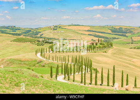 Bellissimo paesaggio paesaggio della Toscana in Italia - cipressi lungo la strada bianca - Vista aerea - vicino a Asciano, Toscana, Italia Foto Stock