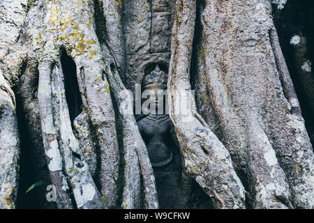 Primo piano sulla facciata ornamento particolare di Angkor Wat antico tempio nascosto tra le radici di albero in Siem Reap, Cambogia. Foto Stock