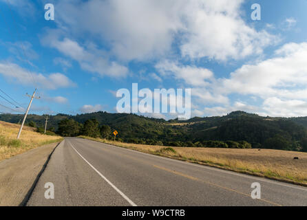 Vista della West Coast Country Road con le montagne sullo sfondo Foto Stock