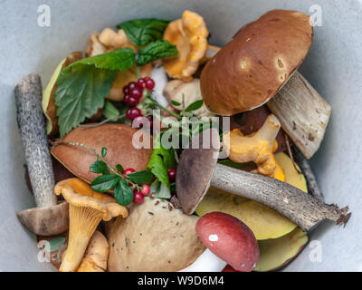 Diversi funghi e frutti di bosco in un secchio. Close-up. Concetto di autunno Foto Stock