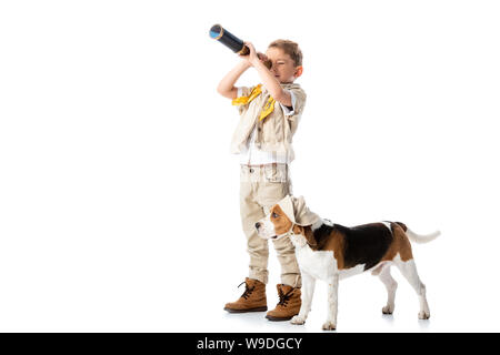 Lunghezza piena vista del preschooler explorer ragazzo con cane beagle cercando in cannocchiale isolato su bianco Foto Stock