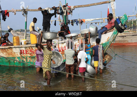 Donne comprare pesci in Ada Foah, Ghana. La pesca illegale delle navi straniere minaccia i tradizionali villaggi di pescatori in Ghana. Foto Stock