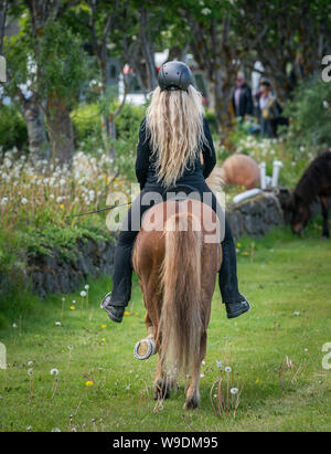 Cavallo islandese display, Giorno di indipendenza, Reykjavik, Islanda Foto Stock