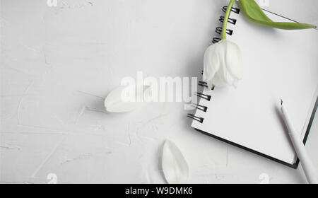 Di ispirazione accogliente spazio bianco con vuoto portatile per le vostre idee e i fiori bianchi sulla superficie bianca Foto Stock