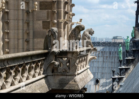 Galerie des chimères (gargoyles) sulla piattaforma superiore tra le torri della cattedrale di Notre Dame, l'Ile de la Cité, Parigi, Francia Foto Stock