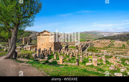 Algeria, Djemila Città, le rovine romane della città di Djemila, UNESCO, W.H. , Settimio Severo Tempio e Arco di Caracalla, panorama Foto Stock