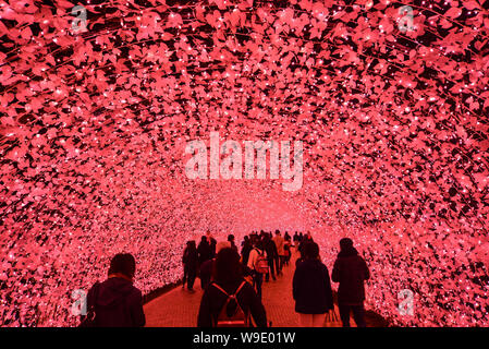 Nagoya, Giappone - Mar 16, 2018. Led gigante tunnel di luce in Nabana No Sato Park. Molti turisti visita guidata a piedi e scattare una foto nella galleria. Foto Stock