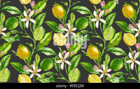 Lime ramo pattern seamless acquerelli di albero da frutta con fiori realistico botanico superficie floreale design: tutta la metà di foglie di agrumi di panna Foto Stock