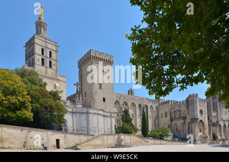 Famoso Palais des Papes e la Cattedrale Notre Dame des Doms di Avignone, un comune nel sud-est della Francia nel dipartimento di Vaucluse Foto Stock