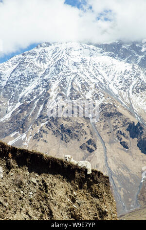 Vista in alta montagna latitude alla regione Mtskheta-Mtianeti in Georgia Foto Stock