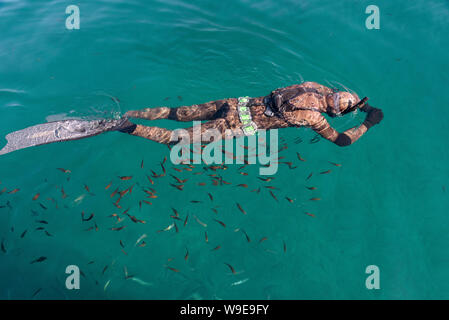 Creta, Grecia. Scuba Diver snorkeling ed esplorando il mare di Creta appena al largo di Chania, occidentale di Creta Foto Stock