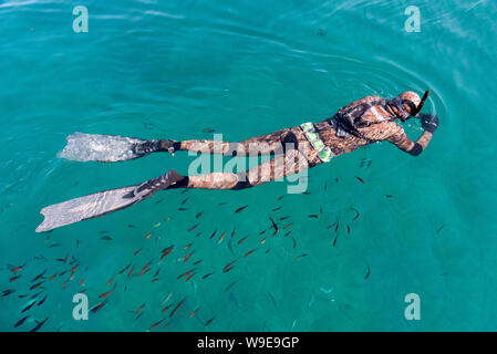 Creta, Grecia. Scuba Diver snorkeling ed esplorando il mare di Creta appena al largo di Chania, occidentale di Creta Foto Stock