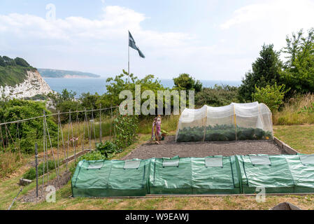 Birra, Seaton, Devon, Inghilterra, Regno Unito. Quote crescenti di frutta e verdura in tunnel di plastica su una scogliera sopra la città balneare di birra Foto Stock
