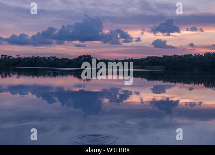 Paurotis stagno in Everglades National Park, Florida, Stati Uniti d'America - 16 Luglio 2018: il tramonto e riflessioni a Paurotis stagno nel parco nazionale delle Everglades vicino Foto Stock