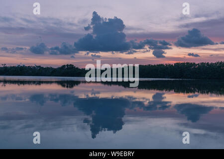 Paurotis stagno in Everglades National Park, Florida, Stati Uniti d'America - 16 Luglio 2018: il tramonto e riflessioni a Paurotis stagno nel parco nazionale delle Everglades vicino Foto Stock