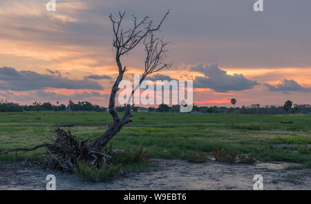 Flamingo Visitor Center, Everglades National Park, Florida, Stati Uniti d'America - 14 Luglio 2018: il tramonto in Everglades National Park in Florida con sagome di tre Foto Stock