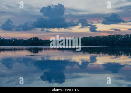 Paurotis stagno in Everglades National Park, Florida, Stati Uniti d'America - 16 Luglio 2018: il tramonto e riflessioni a Paurotis stagno nel parco nazionale delle Everglades vicino Foto Stock