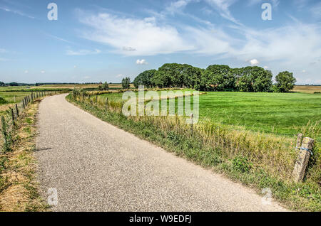 Paese stretta strada su una diga in un paesaggio verde vicino a Kampen Paesi Bassi, leggermente ricurva e che conduce ad un gruppo di alberi che circondano un Foto Stock