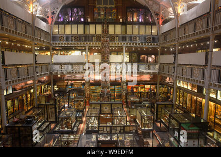 Inghilterra, Oxford, Pitt Rivers Museum Galleria degli interni. Foto Stock