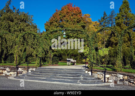 Giardino la scena; gli alberi, arbusti, ampi gradini in pietra e ringhiera in ferro, banco; lanterna; alberi; verde, rosso, oro, inizio autunno, Longwood Gardens; Kennett Square; Foto Stock