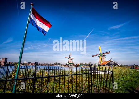 Mulini a vento di Zaanse Schans, Paesi Bassi Foto Stock