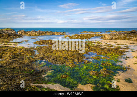 Attività ricreative presso la spiaggia di Skerries, Co Dublin, Irlanda Foto Stock