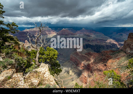 Bella vista nel magnifico Grand Canyon, Arizona, Stati Uniti d'America Foto Stock