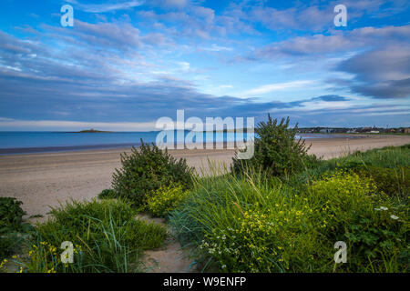 Attività ricreative presso la spiaggia di Skerries, Co Dublin, Irlanda Foto Stock