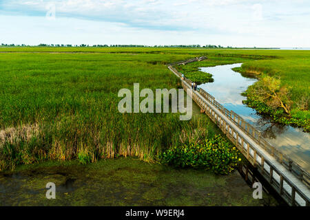 Il Boardwalk in zone umide Nature Preserve, punto Pelée National Park, Ontario, Canada Foto Stock