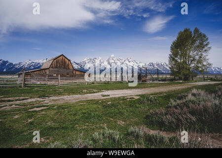 Granaio sulla riga mormone in Grand Teton, Wyoming USA Foto Stock