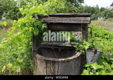 Campagna a Podlasie, Polonia Foto Stock