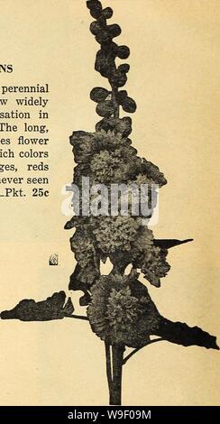 Immagine di archivio da pagina 5 di Currie del giardino della 63annuale rd. Currie del giardino : annuale 63rd anno primavera 1938 curriesgardenann19curr 4 Anno: 1938 ( Pansy Coron&zione oro Annnal Hollyhock fattibile Scarlet bellezza HOLLYHOCK DOPPIA ANNUALE SCARLET bellezza un nuovo doppio Hollyhock, che fiorisce in meno di 6 mesi dopo la semina. I fiori sono grandi e sono una pura intensa scarlatto. Impianti inverno oltre dove altri non Hollyhocks e pertanto può essere classificato come un perenne che fiorisce il primo anno dal seme. Pkt. 25c TITHONIA SPECIOSA bolide scintillante come una palla di fuoco in bilico in alto al di sopra altro flusso Foto Stock