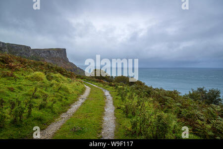 Luogo spettacolare a Murlough Bay presso la costa di Antrim Foto Stock