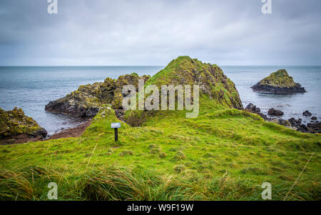 Luogo spettacolare a Murlough Bay presso la costa di Antrim Foto Stock