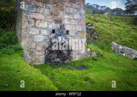 Luogo spettacolare a Murlough Bay presso la costa di Antrim Foto Stock