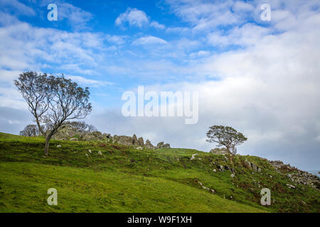 Luogo spettacolare a Murlough Bay presso la costa di Antrim Foto Stock