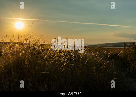 Tramonto su Chesil Beach con erbe selvatiche nella massa anteriore Foto Stock