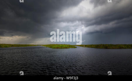 Un temporale estivo si avvicina in Everglades della Florida. Durante i mesi estivi in Florida tempeste sono quasi un evento quotidiano. Foto Stock