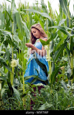 Ragazza in piedi in un campo di mais Foto Stock