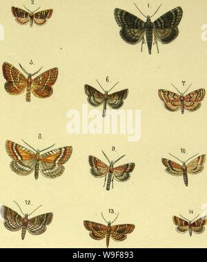 Immagine di archivio da pagina 22 del Abbildung und Beschreibung europäischer Schmetterlinge